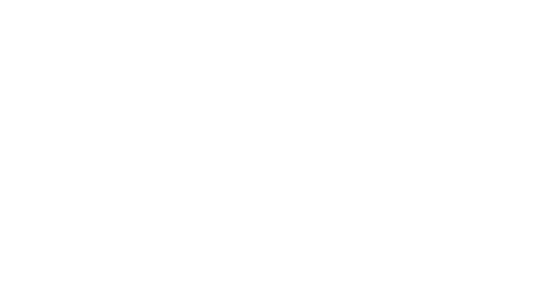 SKÖN Academy
